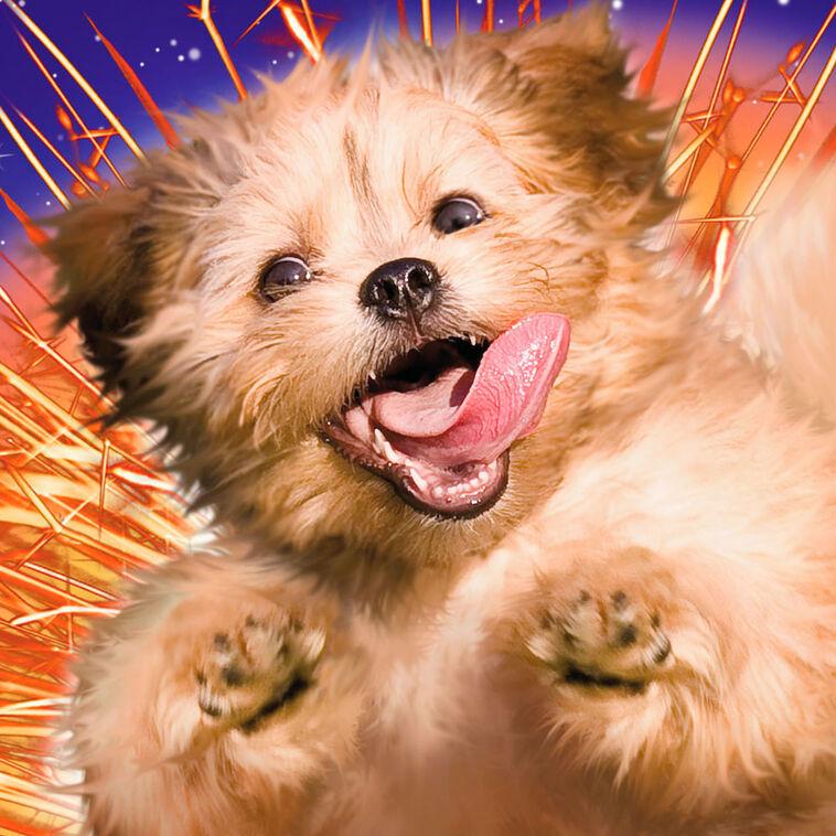 Hallmark You're An Explosion Of Awesome Funny Card
