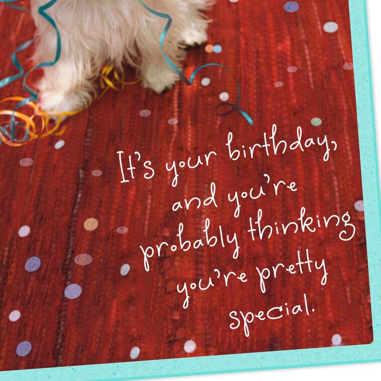 Hallmark You're Pretty Special Birthday Card