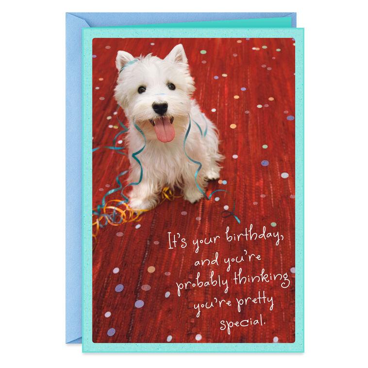 hallmark You're Pretty Special Birthday Card