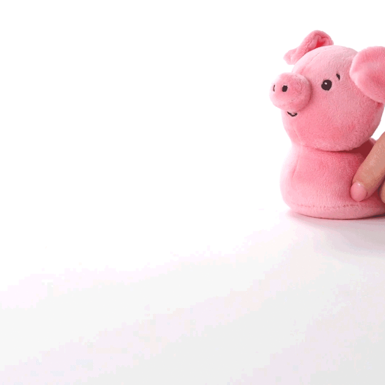 Hallmark Zip-Along Pig Plush Toy