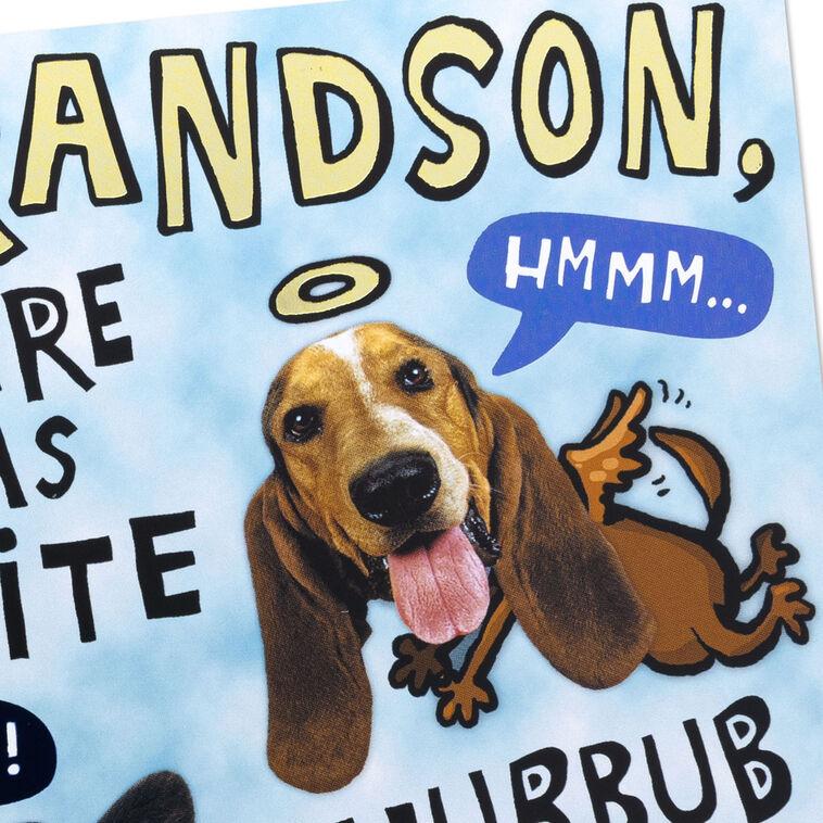 Hallmark Handsome And Intelligent Funny Pop-Up Birthday Card For Grandson