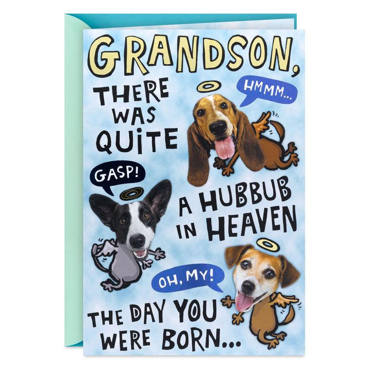 hallmark Handsome and Intelligent Funny Pop-Up Birthday Card for Grandson