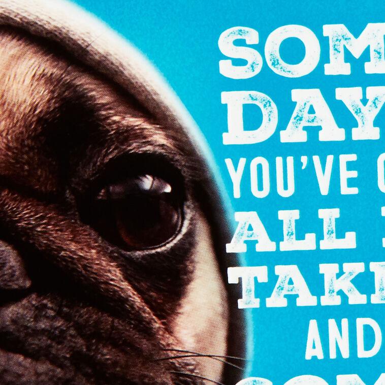 Hallmark Hang In There Dog In Hoodie Encouragement Card