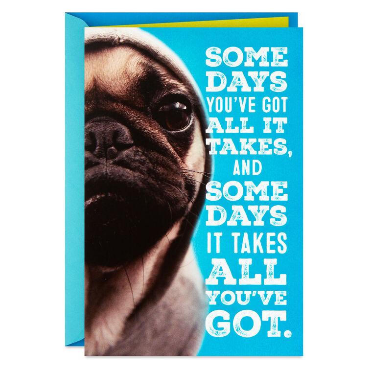 hallmark Hang in There Dog in Hoodie Encouragement Card