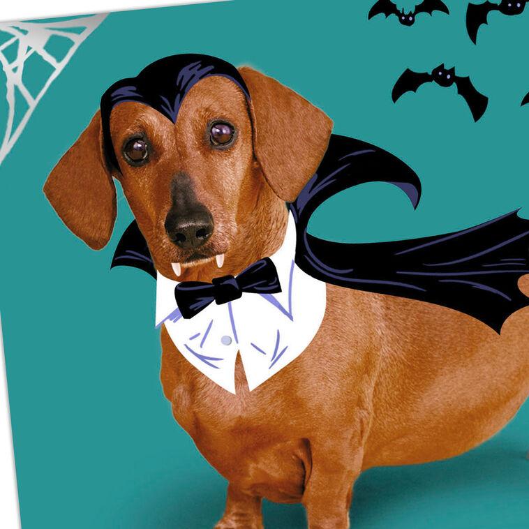 Hallmark Happy Hallowiener Vampire Dog Funny Halloween Card