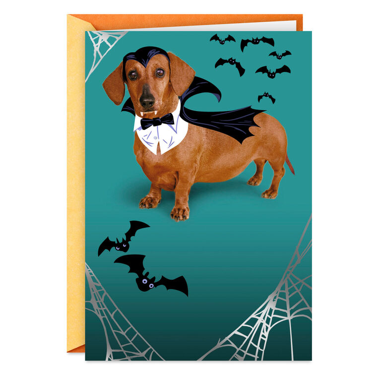 hallmark Happy Hallowiener Vampire Dog Funny Halloween Card