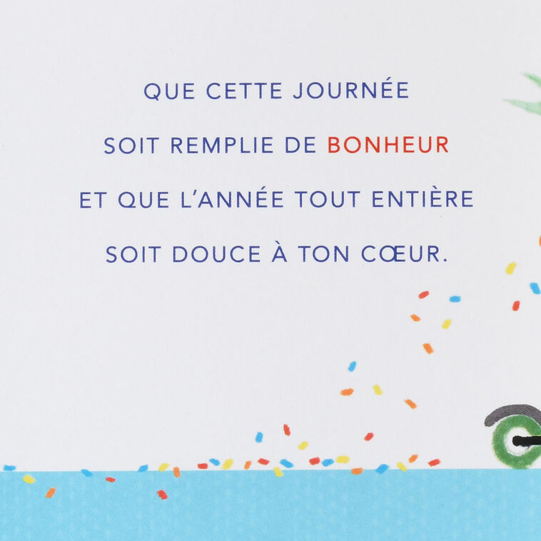 Hallmark Happy Moments And Days French-Language Birthday Card