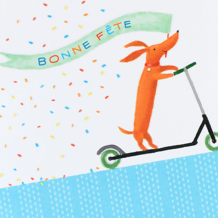 Hallmark Happy Moments And Days French-Language Birthday Card