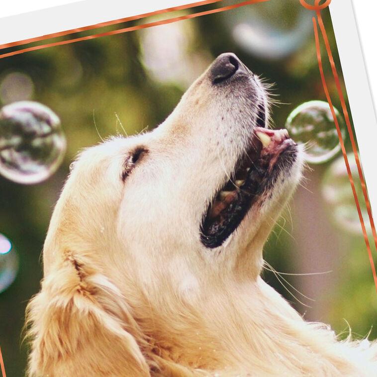 Hallmark Happy Thoughts Dog With Bubbles Encouragement Card