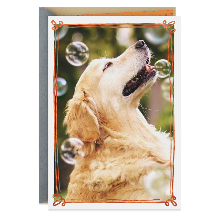 hallmark Happy Thoughts Dog With Bubbles Encouragement Card