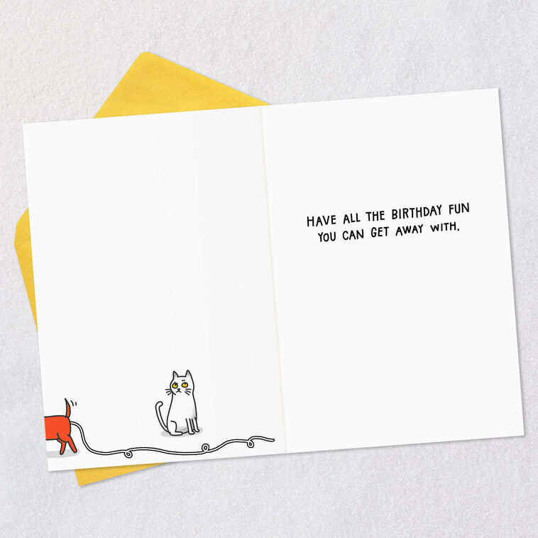 Hallmark Have All The Fun You Can Funny Birthday Card