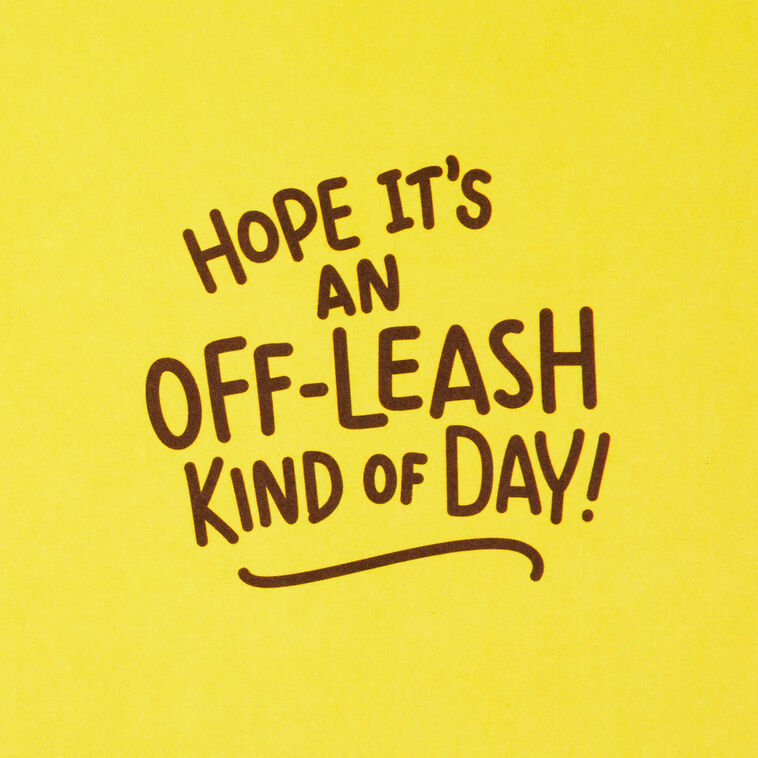 Hallmark Have An Off-Leash Kind Of Day Funny Birthday Card