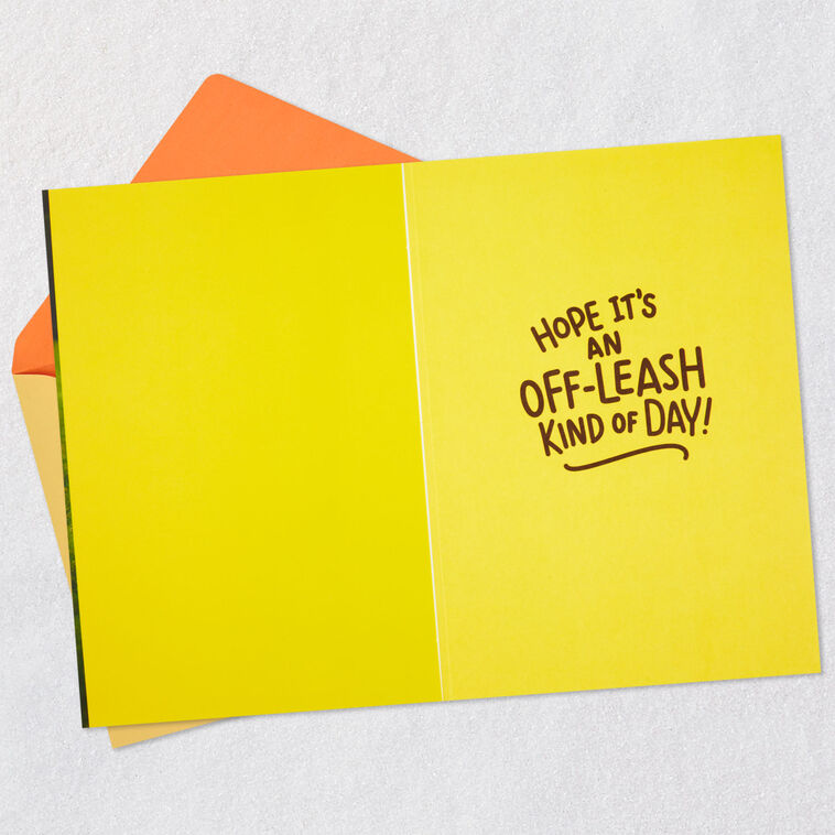 Hallmark Have An Off-Leash Kind Of Day Funny Birthday Card