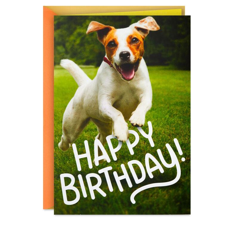 hallmark Have an Off-Leash Kind of Day Funny Birthday Card