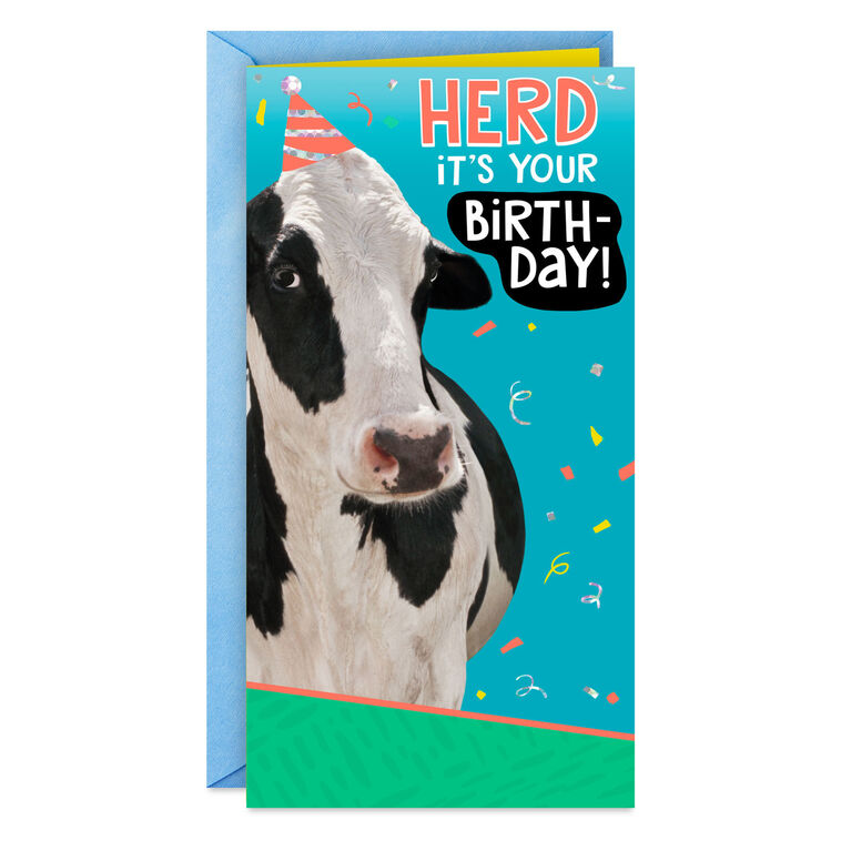 hallmark Herd It's Your Day Funny Money Holder Birthday Card for Kids