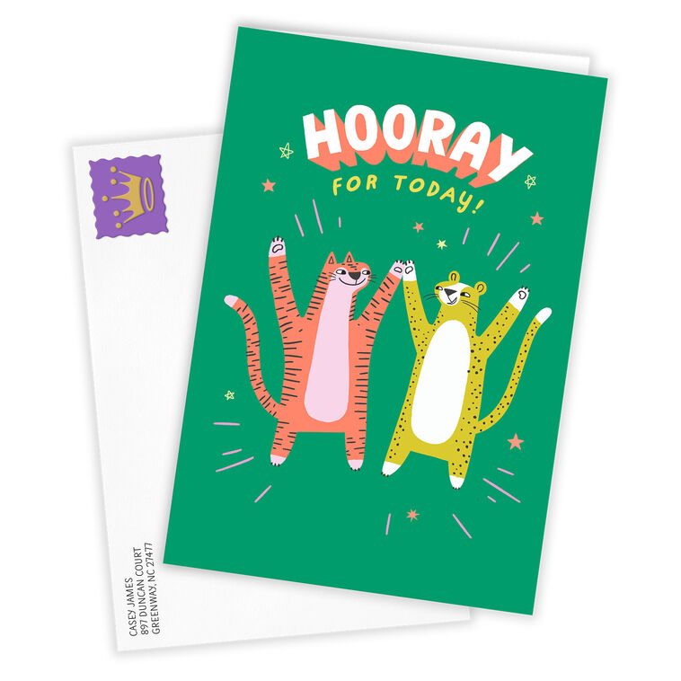 Hallmark Hooray For Today Silly Cats Custom Congratulations Card