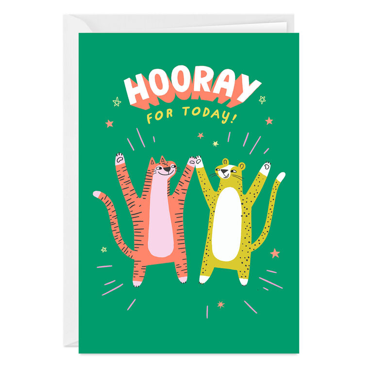 hallmark Hooray for Today Silly Cats Custom Congratulations Card