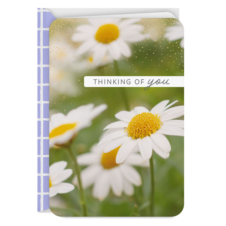 hallmark Hope You're Having a Good Day Thinking of You Card