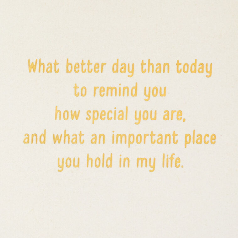 Hallmark How Special You Are Birthday Card For Sister