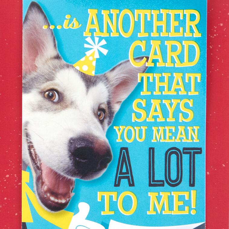 Hallmark Hugging Dog Pop-Up Birthday Card With Mini Cards