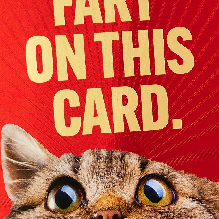 Hallmark I Did Not Fart Or Did I? Funny Birthday Card