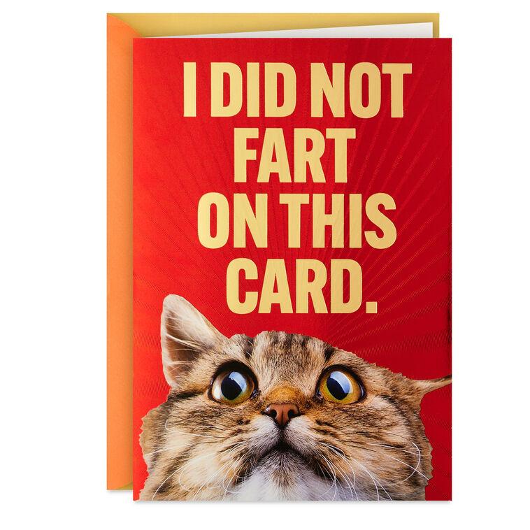 hallmark I Did Not Fart Or Did I? Funny Birthday Card