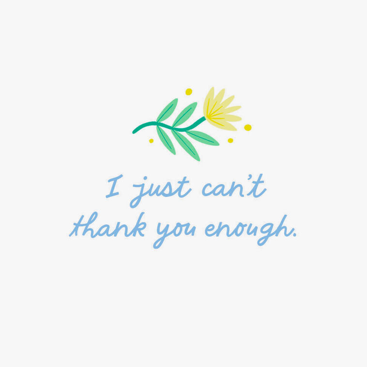 Hallmark I Just Can't Thank You Enough Thank You Card
