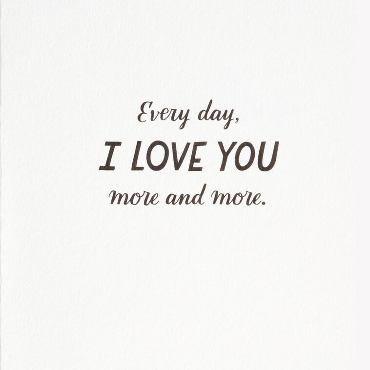 Hallmark I Love You More And More Every Day Love Card