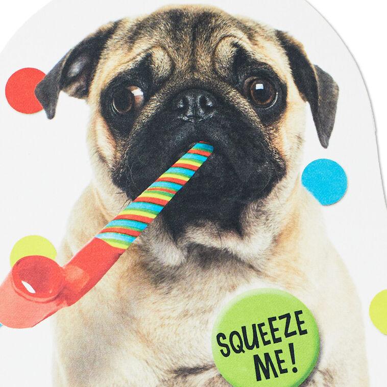 Hallmark Impossible To Ignore Funny Musical Birthday Card With Sound