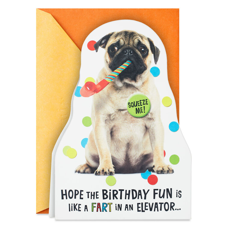 hallmark Impossible to Ignore Funny Musical Birthday Card With Sound