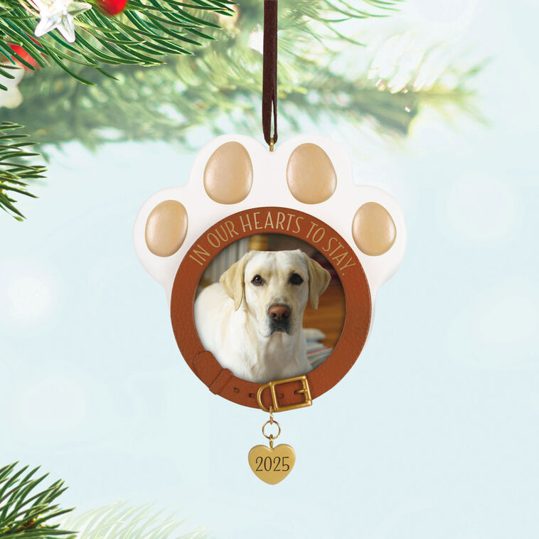 Hallmark In Our Hearts To Stay 2025 Photo Frame Ornament