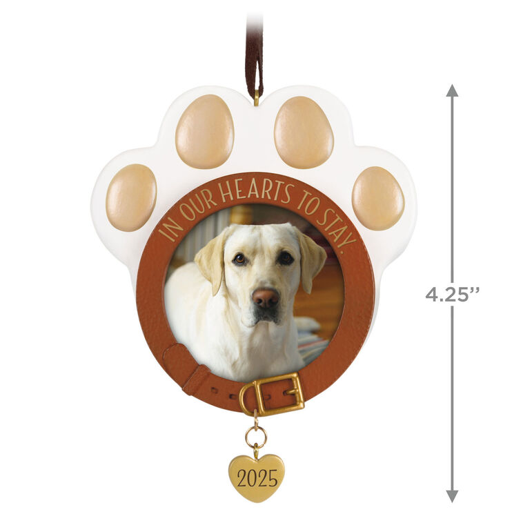 Hallmark In Our Hearts To Stay 2025 Photo Frame Ornament