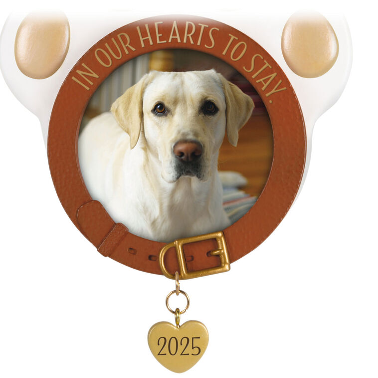 Hallmark In Our Hearts To Stay 2025 Photo Frame Ornament
