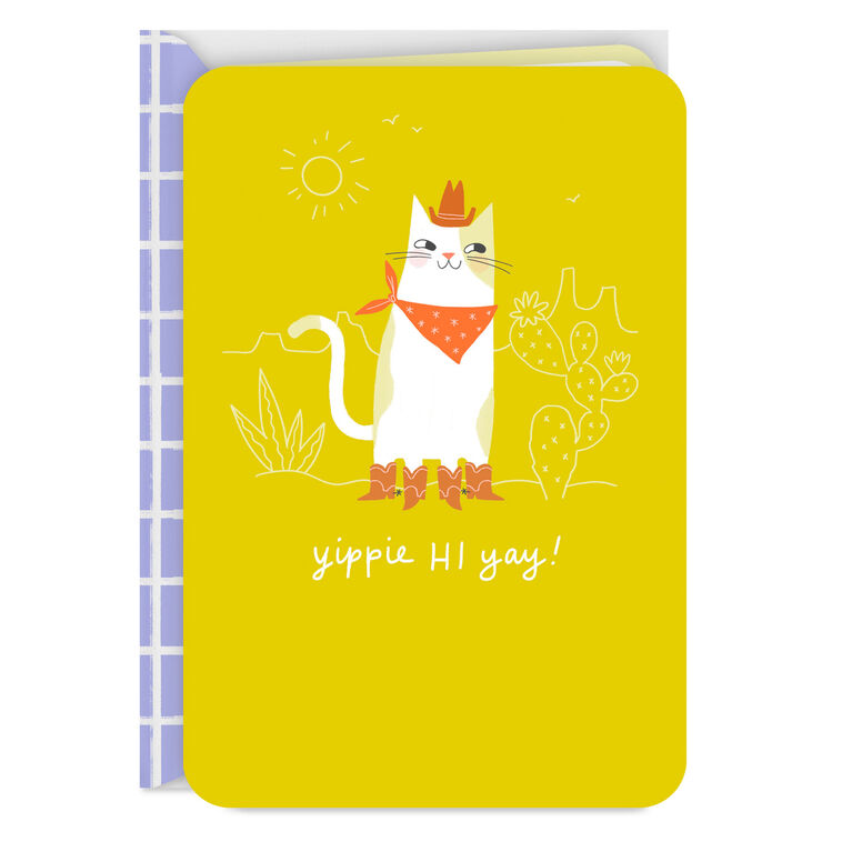 hallmark Just Wanted to Say Howdy Thinking of You Card