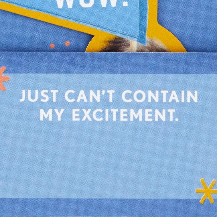 Hallmark Kevin The Cat So Excited Funny 3D Pop-Up Card