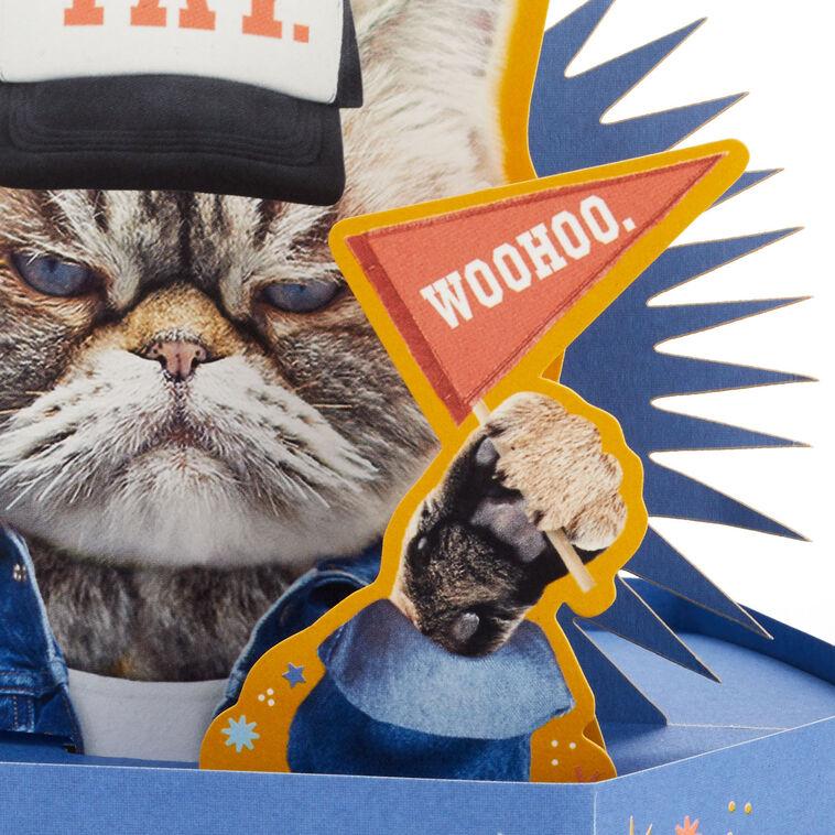 Hallmark Kevin The Cat So Excited Funny 3D Pop-Up Card