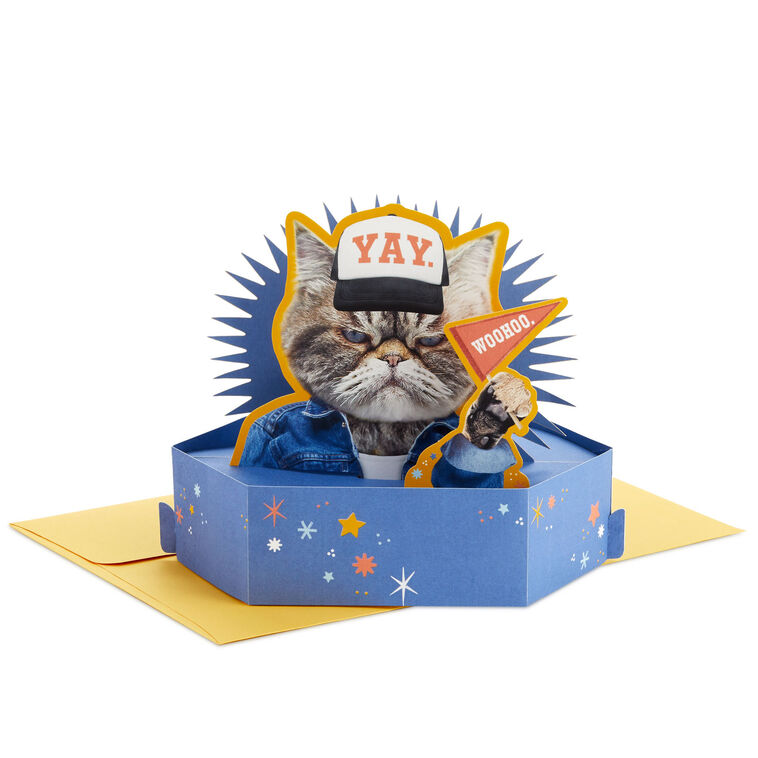 hallmark Kevin the Cat So Excited Funny 3D Pop-Up Card