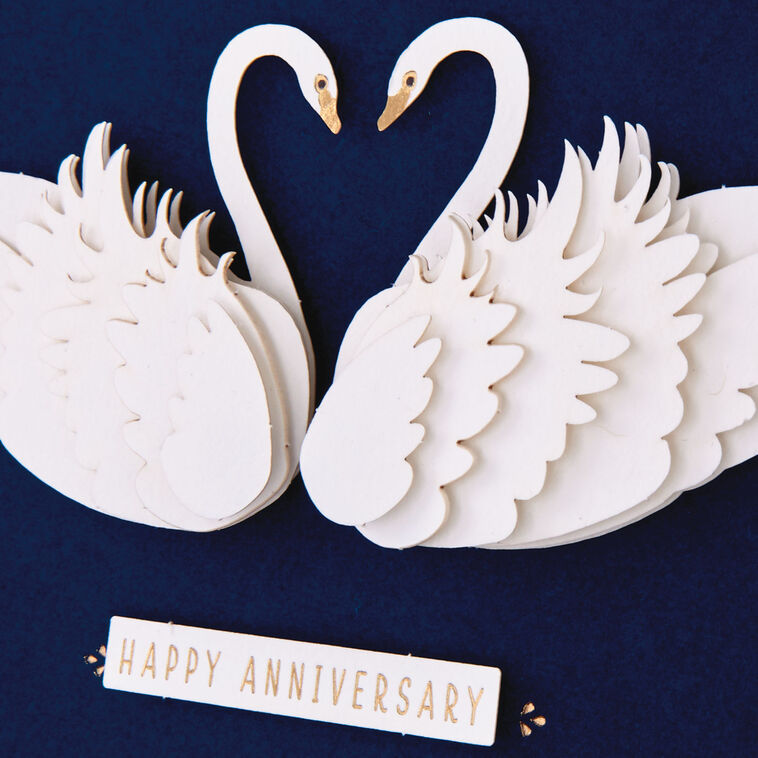Hallmark Lasting Love Swans Anniversary Card For Couple