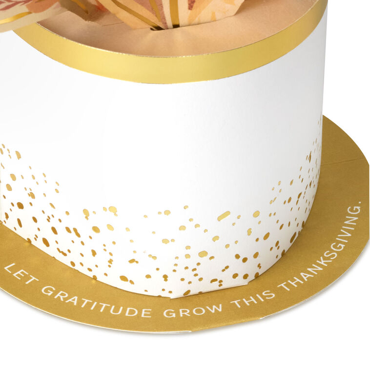 Hallmark Let Gratitude Grow Pop-Up Thanksgiving Card