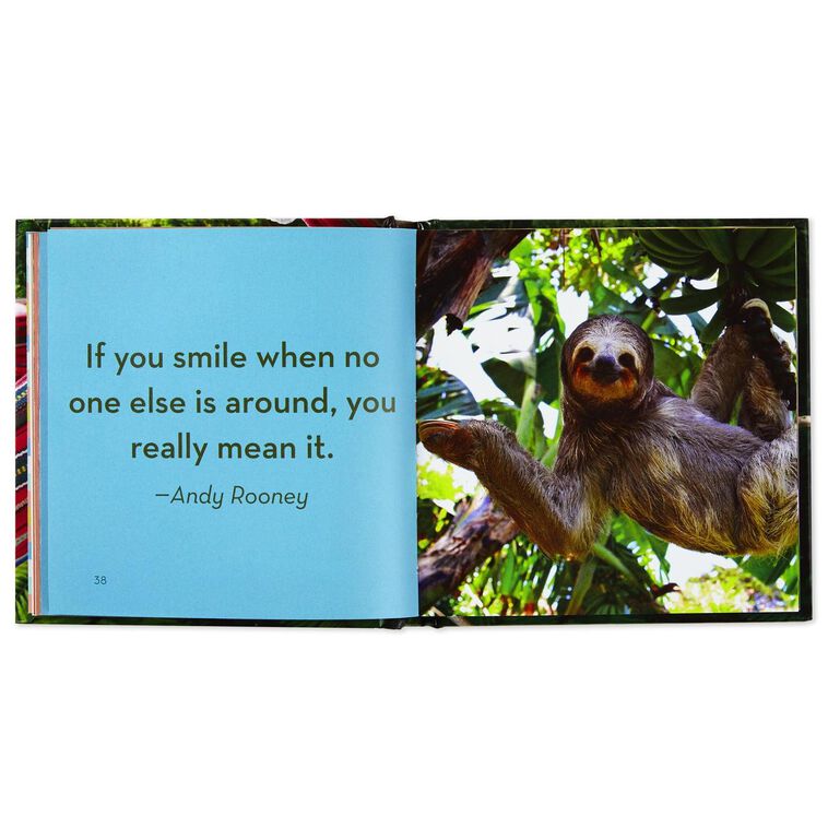 Hallmark Life In The Sloth Lane: Slow Down And Smell The Hibiscus Book