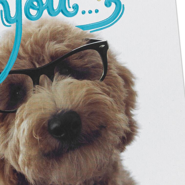 Hallmark Look At You Being All Awesome Congratulations Card