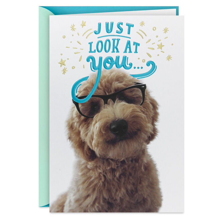 hallmark Look at You Being All Awesome Congratulations Card