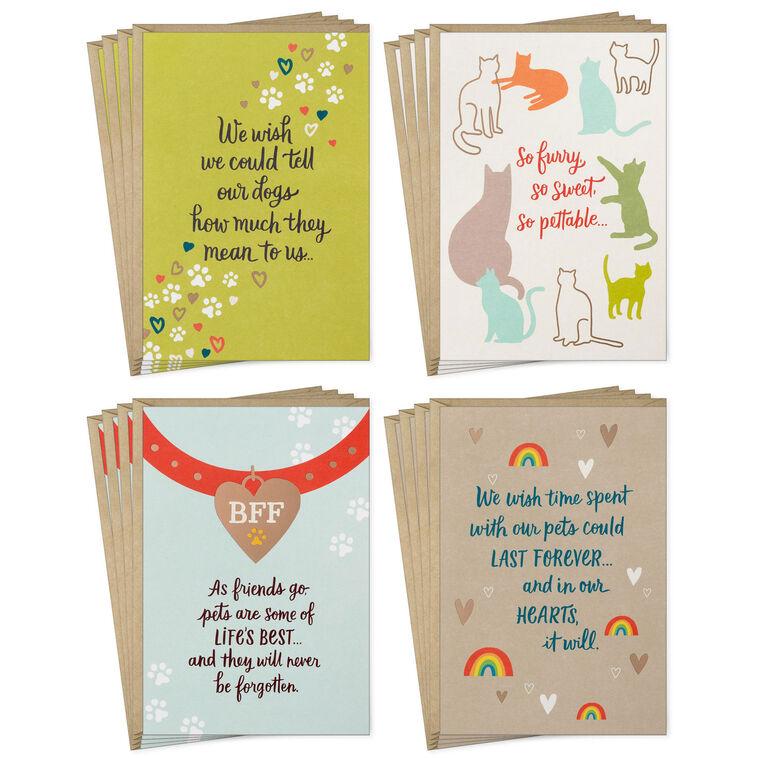 hallmark Loss of Pet Assorted Sympathy Cards Pack of 16