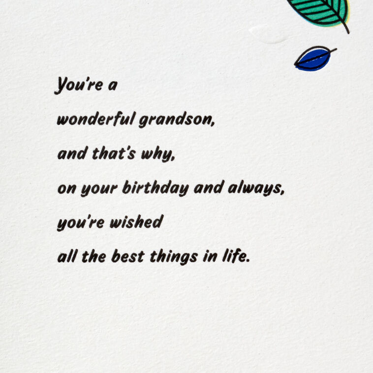 Hallmark Love Watching You Grow Birthday Card For Grandson