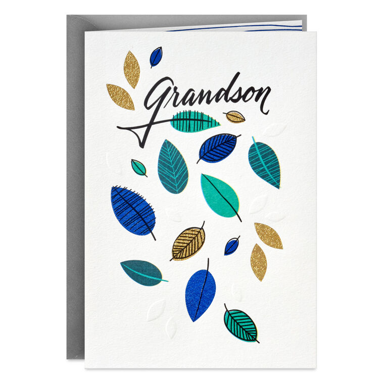 hallmark Love Watching You Grow Birthday Card for Grandson