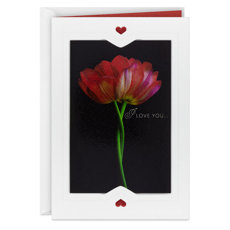 hallmark Love You All Day Especially on Our Day Romantic Anniversary Card for Spouse