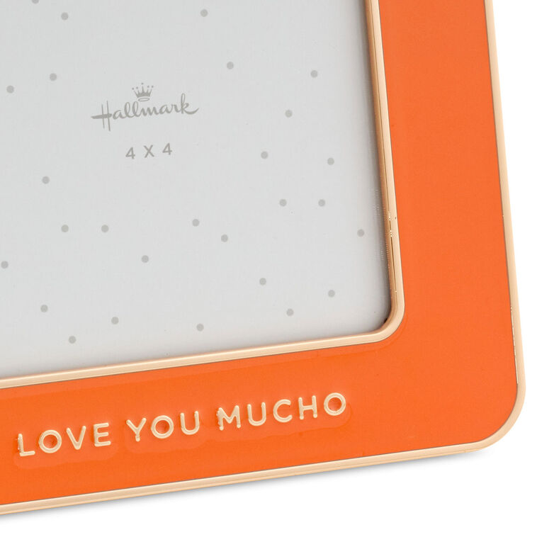 Hallmark Love You Mucho Coral Enamel Picture Frame 4x4