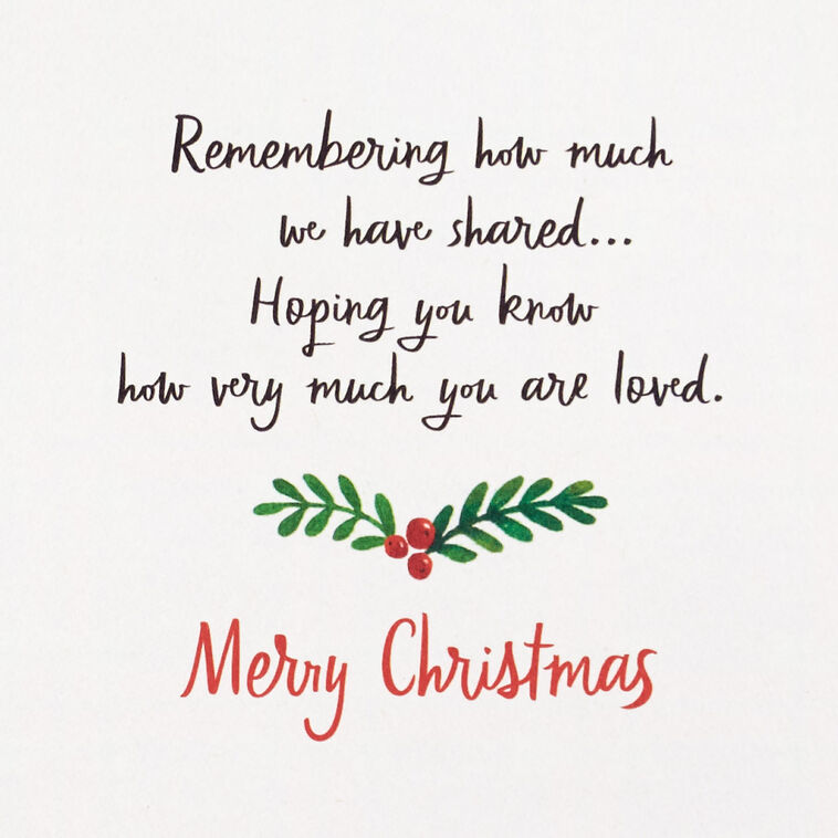Hallmark Love You So Much Christmas Card For Sister And Brother-in-Law