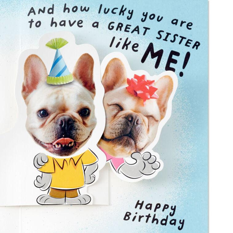 Hallmark Lucky Brother Funny Pop-Up Birthday Card From Sister