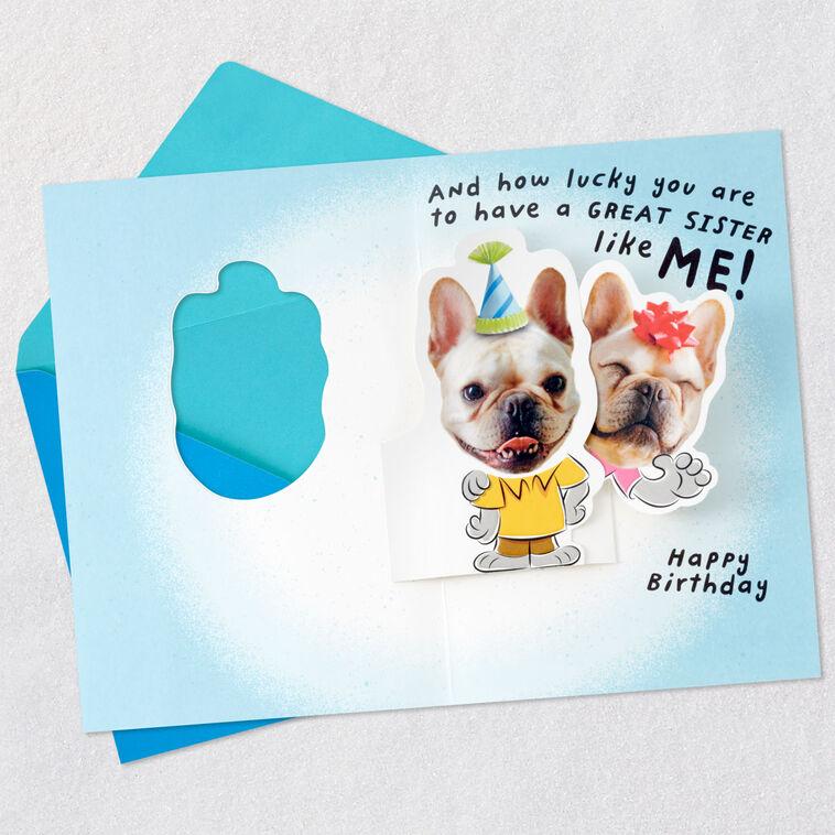 Hallmark Lucky Brother Funny Pop-Up Birthday Card From Sister